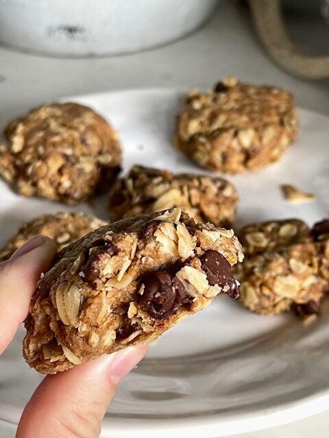 easy lactation cookies