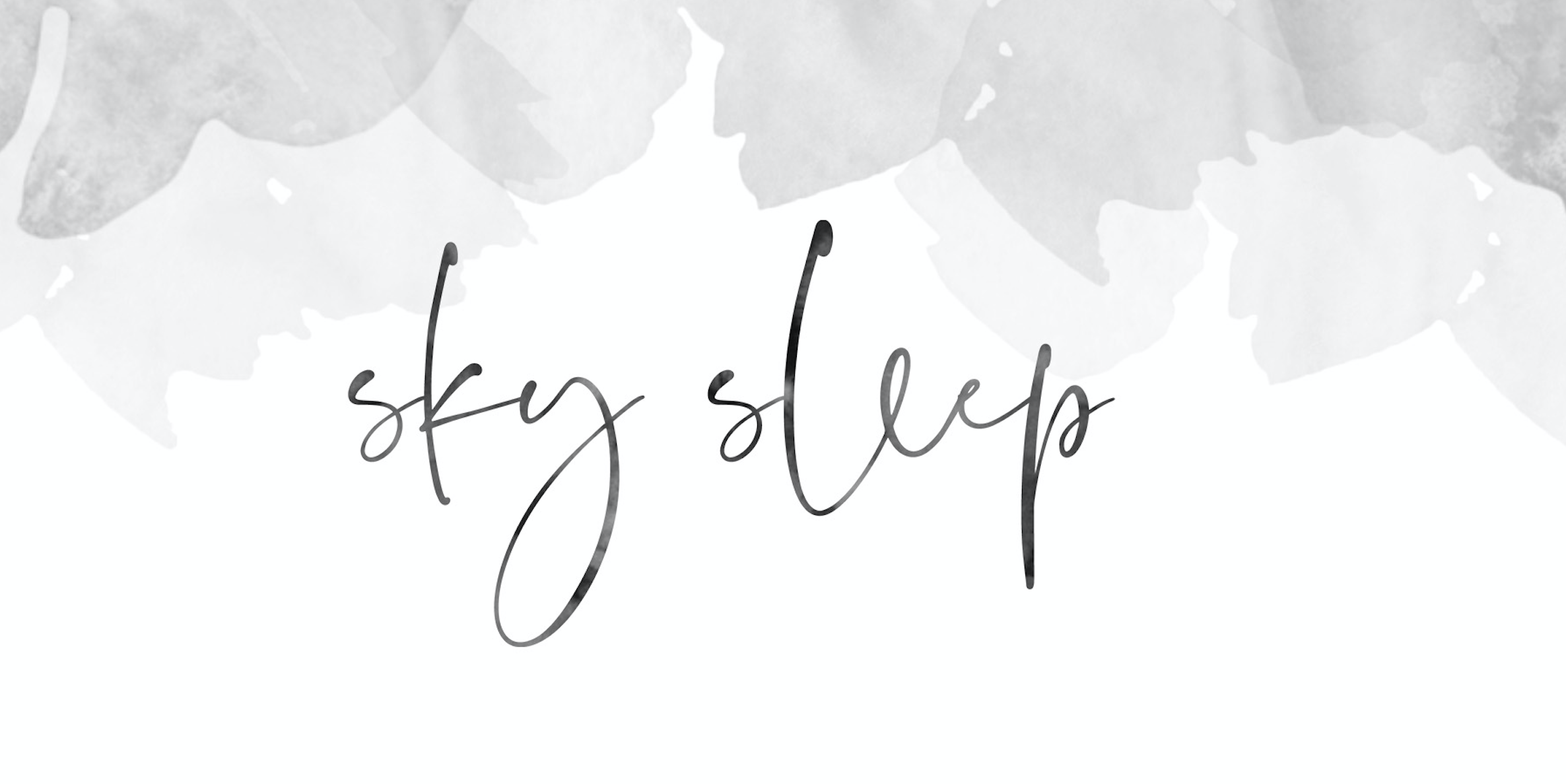 Introducing my Newest Business: Sky Sleep