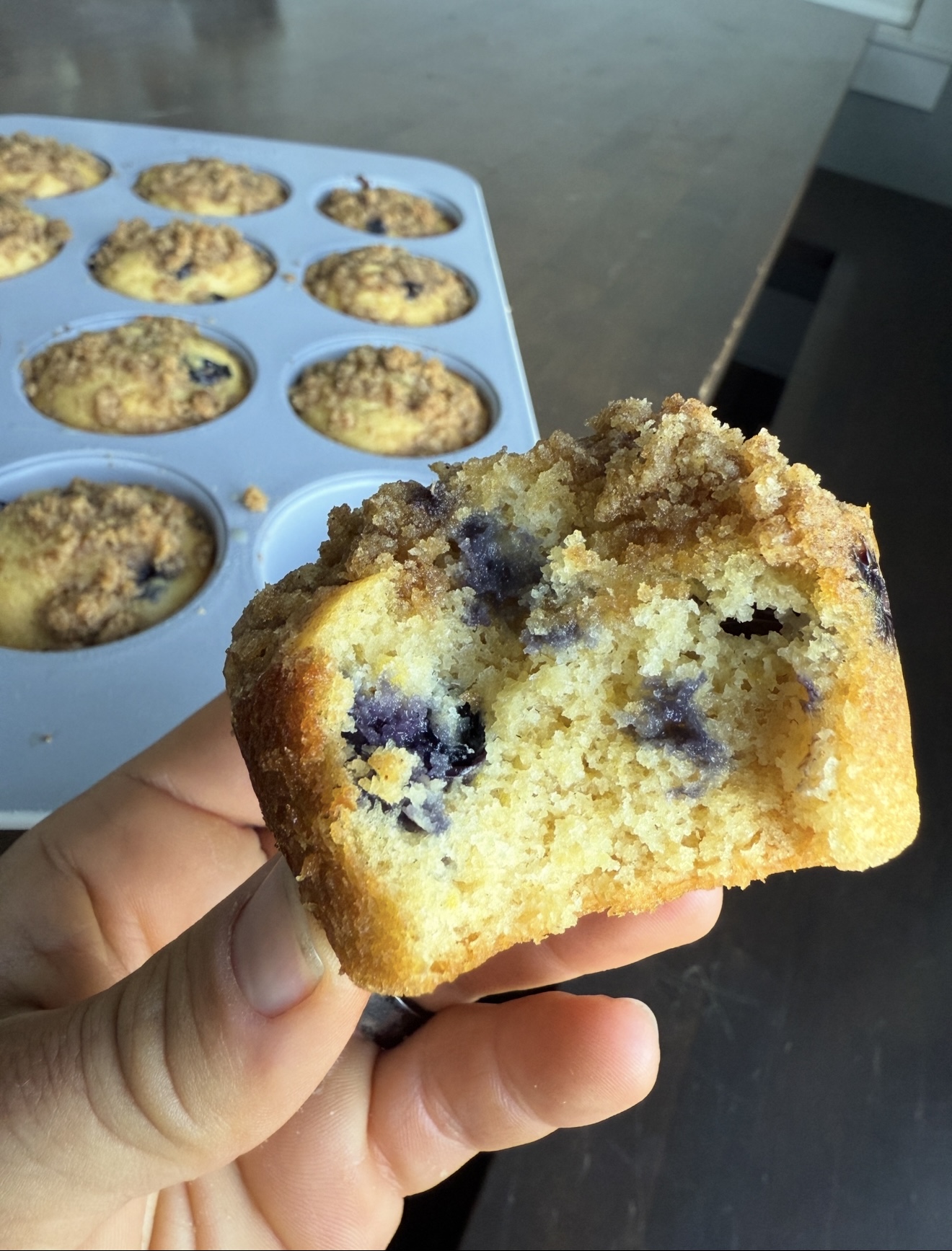 Blueberry Streusel Muffins