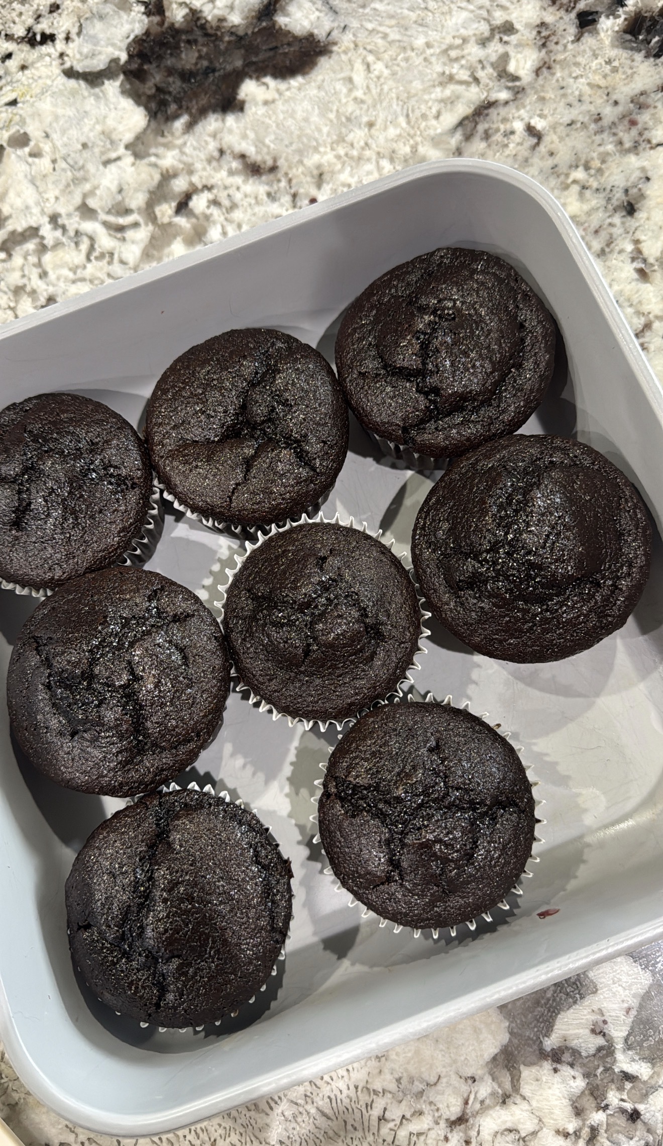 Protein Brownie Muffins
